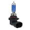 Hella Bulb H10 12V 42W Xen Bulbs, H71071252 H71071252 - alternate 5